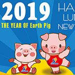 2019 lunar year holidays