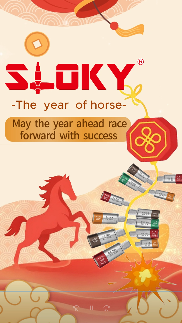 SLOKY Torque Control- The year of horse